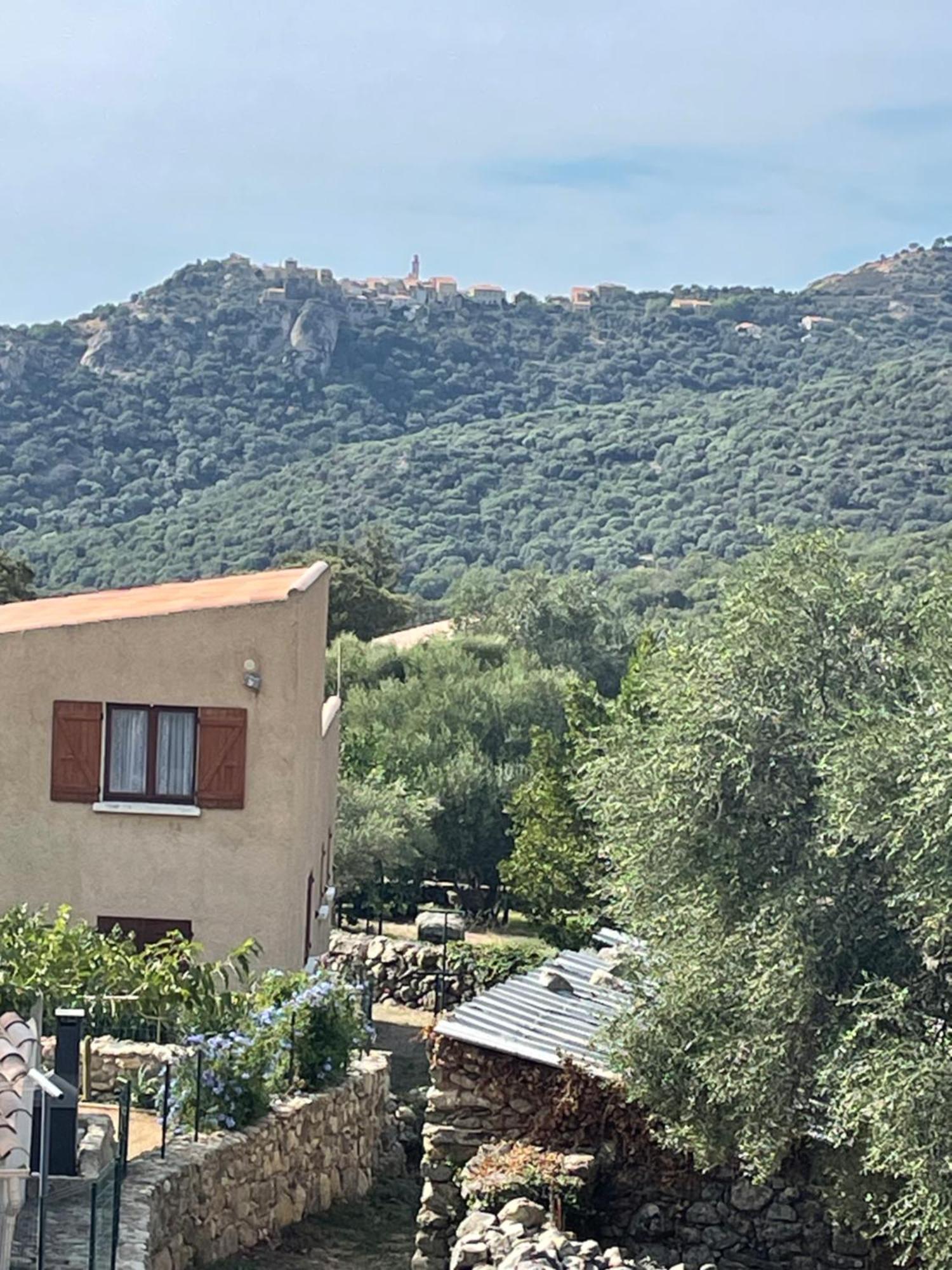 Casa Basgiu, Chambres Avec Balcon Et Table D'Hotes Zilia Exterior foto